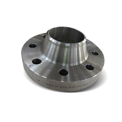 Hastelloy ল্যাপ জয়েন্ট Flanges